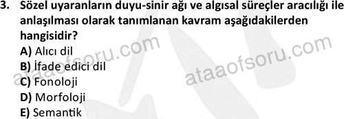 ata cocukgelisimonlisans 1497 3