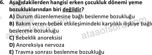 ata cocukgelisimonlisans 1497 6
