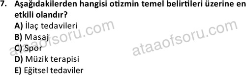 ata cocukgelisimonlisans 1497 7