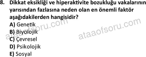 ata cocukgelisimonlisans 1497 8