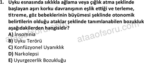 ata cocukgelisimonlisans 1497 1