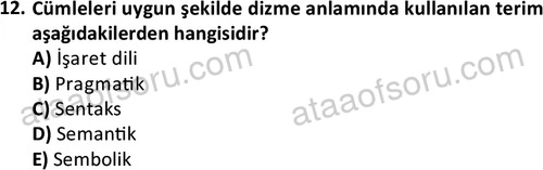 ata cocukgelisimonlisans 1497 12