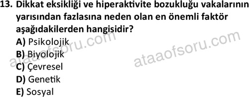 ata cocukgelisimonlisans 1497 13