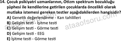ata cocukgelisimonlisans 1497 14