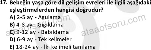 ata cocukgelisimonlisans 1497 17