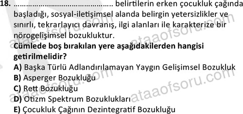 ata cocukgelisimonlisans 1497 18