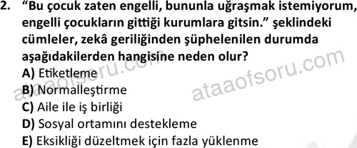 ata cocukgelisimonlisans 1497 2
