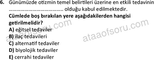 ata cocukgelisimonlisans 1497 6