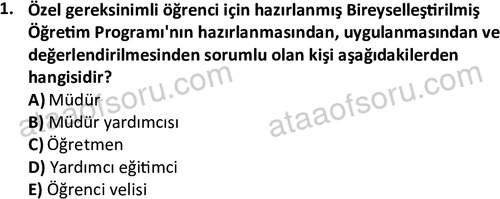 ata cocukgelisimonlisans 1499 1