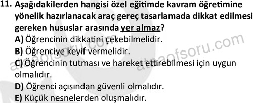 ata cocukgelisimonlisans 1499 11