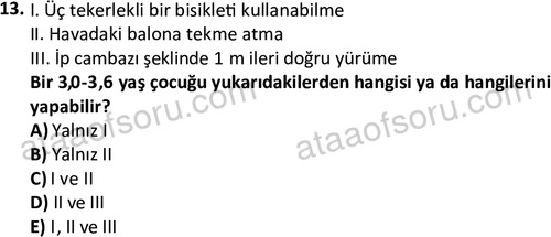 ata cocukgelisimonlisans 1499 13