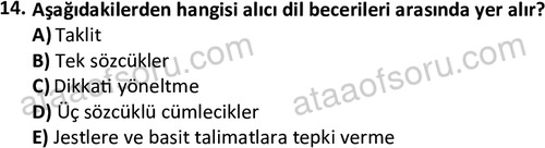 ata cocukgelisimonlisans 1499 14
