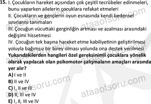 ata cocukgelisimonlisans 1499 15