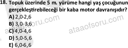 ata cocukgelisimonlisans 1499 18