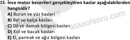 ata cocukgelisimonlisans 1499 15