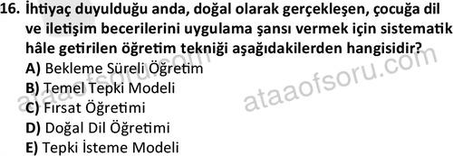 ata cocukgelisimonlisans 1499 16