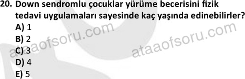 ata cocukgelisimonlisans 1499 20