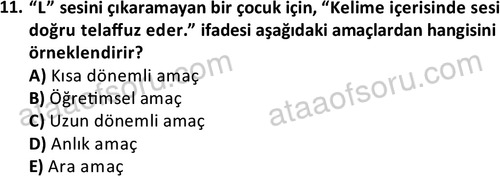 ata cocukgelisimonlisans 1499 11