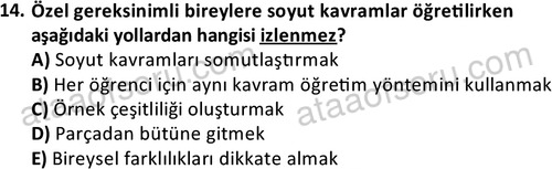 ata cocukgelisimonlisans 1499 14