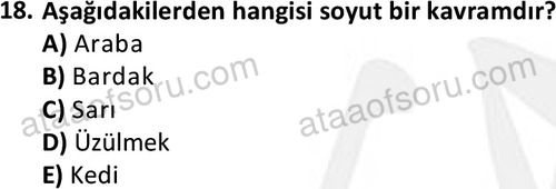 ata cocukgelisimonlisans 1499 18
