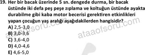 ata cocukgelisimonlisans 1499 19