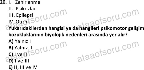 ata cocukgelisimonlisans 1499 20