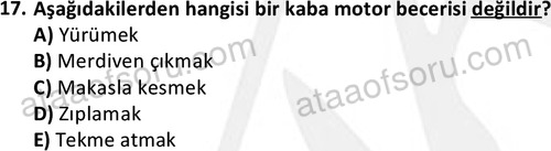 ata cocukgelisimonlisans 1499 17