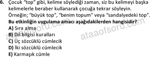 ata cocukgelisimonlisans 1499 6