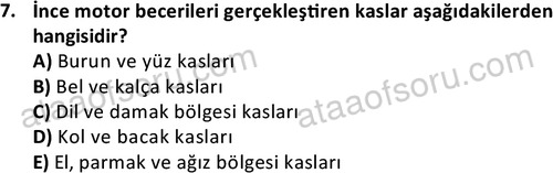 ata cocukgelisimonlisans 1499 7