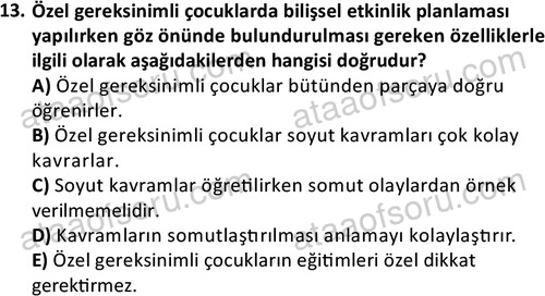 ata cocukgelisimonlisans 1499 13