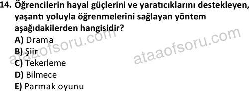 ata cocukgelisimonlisans 1499 14