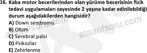 ata cocukgelisimonlisans 1499 16
