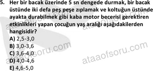 ata cocukgelisimonlisans 1499 5