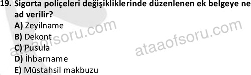 ata disticaret 1512 19