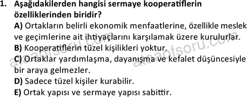 ata disticaret 1512 1