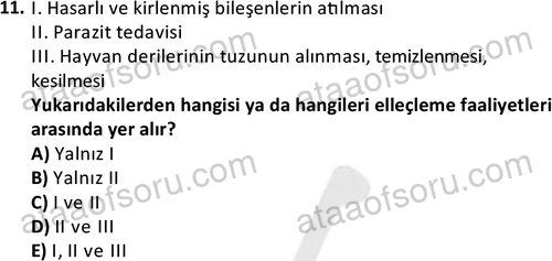 ata disticaret 1527 11