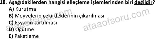 ata disticaret 1527 18