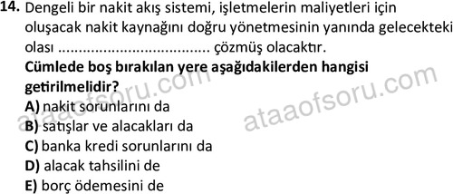 ata disticaret 1529 14