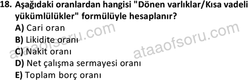 ata disticaret 1529 18