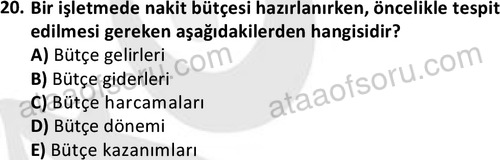 ata disticaret 1529 20