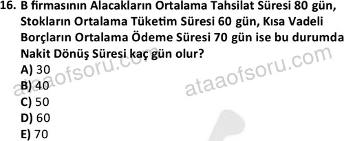 ata disticaret 1529 16