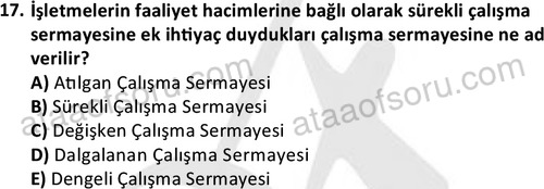 ata disticaret 1529 17
