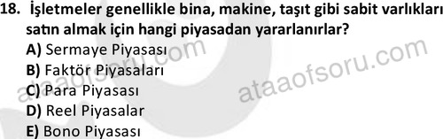 ata disticaret 1529 18