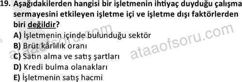 ata disticaret 1529 19