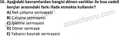 ata disticaret 1529 16