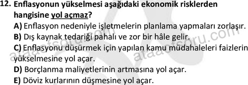 ata disticaret 1528 12