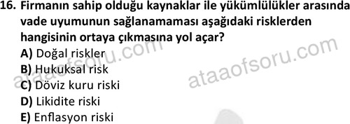 ata disticaret 1528 16