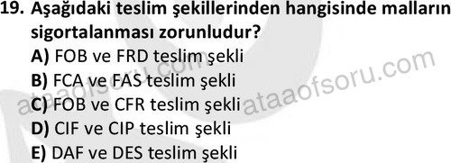 ata disticaret 1528 19