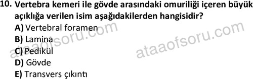 ata egzersizvespor 1545 10