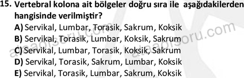 ata egzersizvespor 1545 15